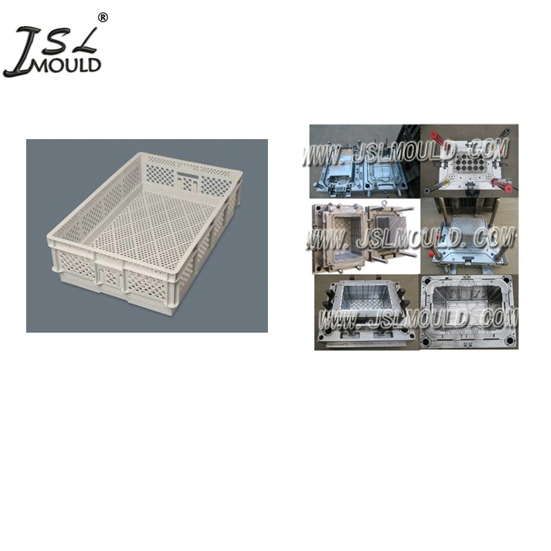 High Quality Plastic Incubator Turner Tray Mould