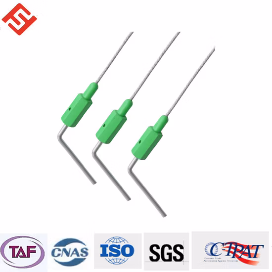 Kunststoffgeschirr Geschirr Einweglöffel Spritzguss / PS-Material Einweg-Großlöffelform Kleine Formenfabrik in China