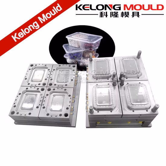 Lieferant von Formen für Kunststoffspritzguss-Einweggeschirr und Lebensmittelbehälter